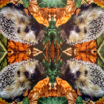 045 Tiere Herbst - 3-lagig - Atelier